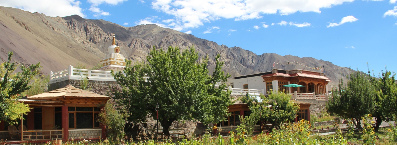 Uley Eco Resort, Leh Ladakh - Slider Image 2