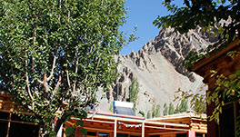 Uley Eco Resort, Leh Ladakh- Resort View-7